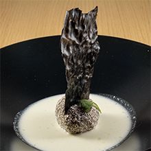 tapa7291.jpg